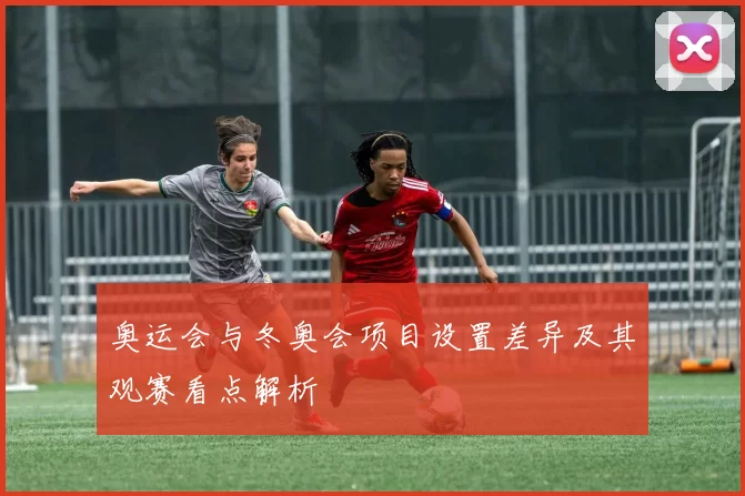 奥运会与冬奥会项目设置差异及其观赛看点解析