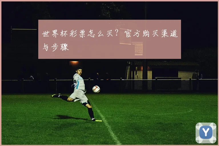 世界杯彩票怎么买？官方购买渠道与步骤